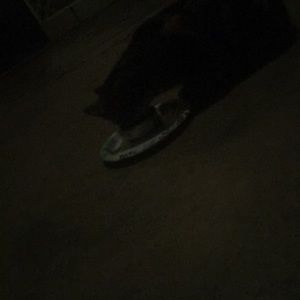 Meet your Posher, Nic